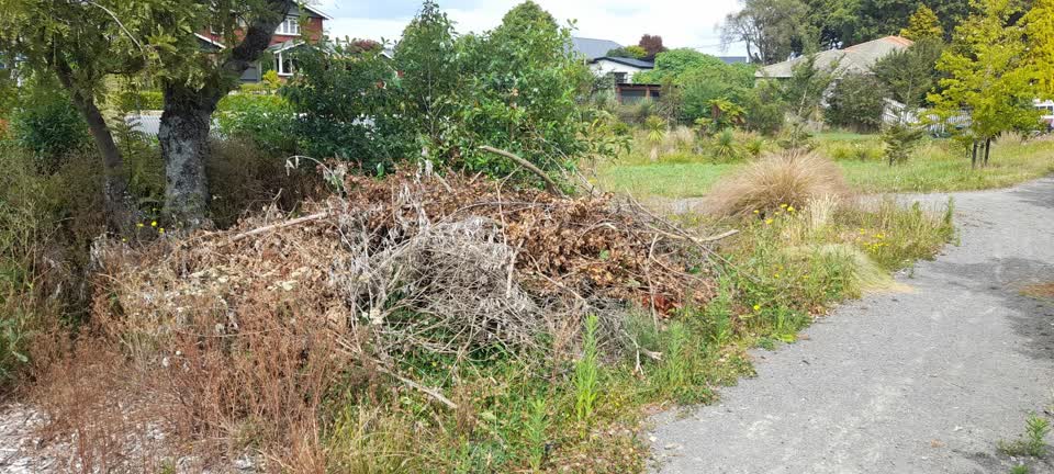The photograph attached to this parks report
