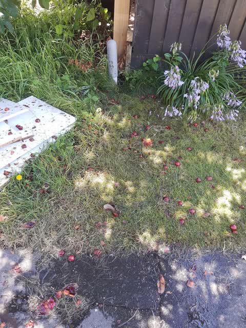 Water Leak, a report photo