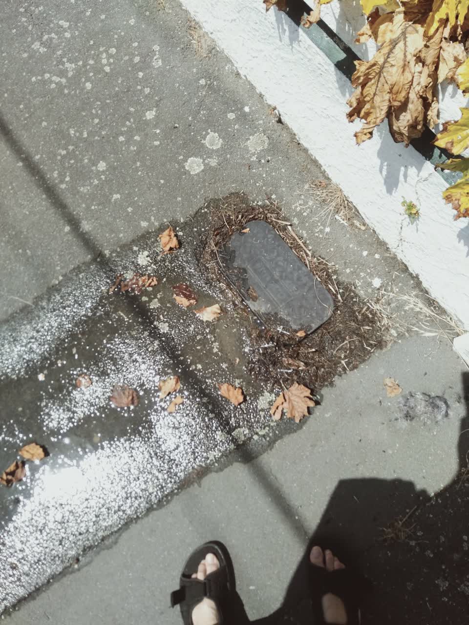 The photograph attached to this water leak report