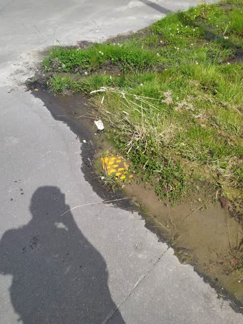 Water Leak, a report photo
