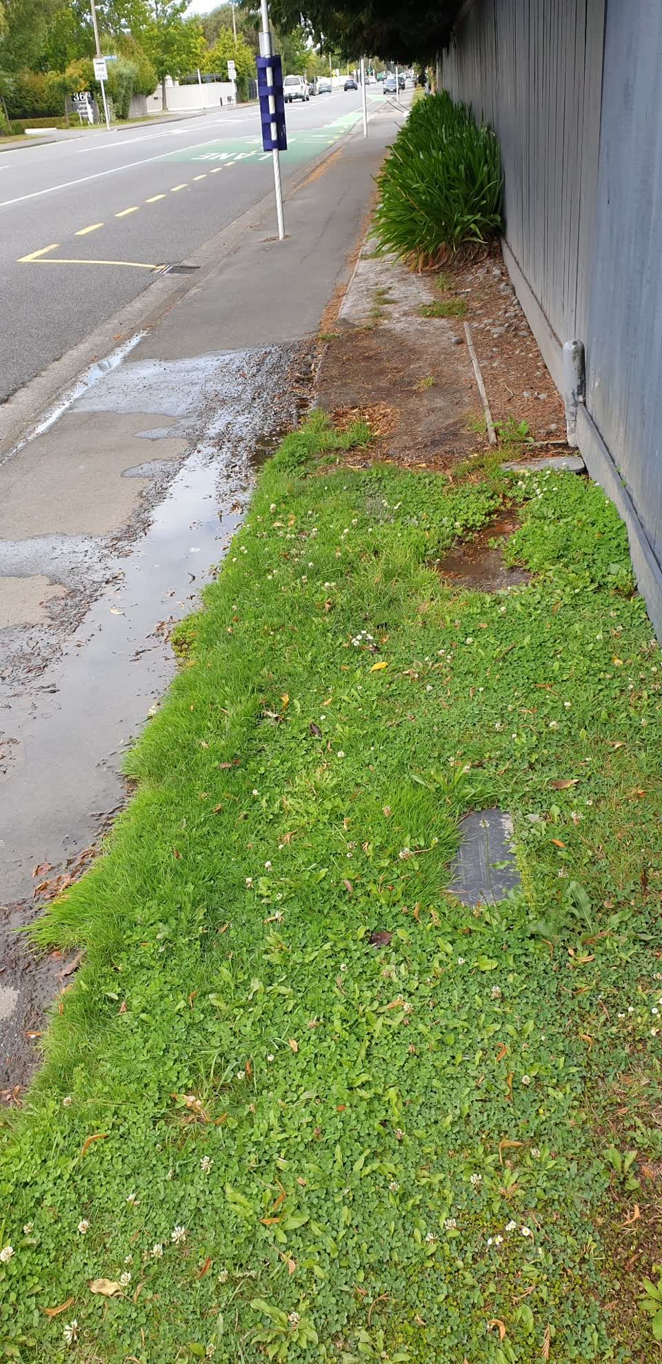 The photograph attached to this water leak report