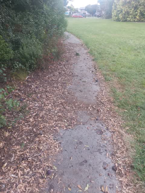 Parks, a report photo