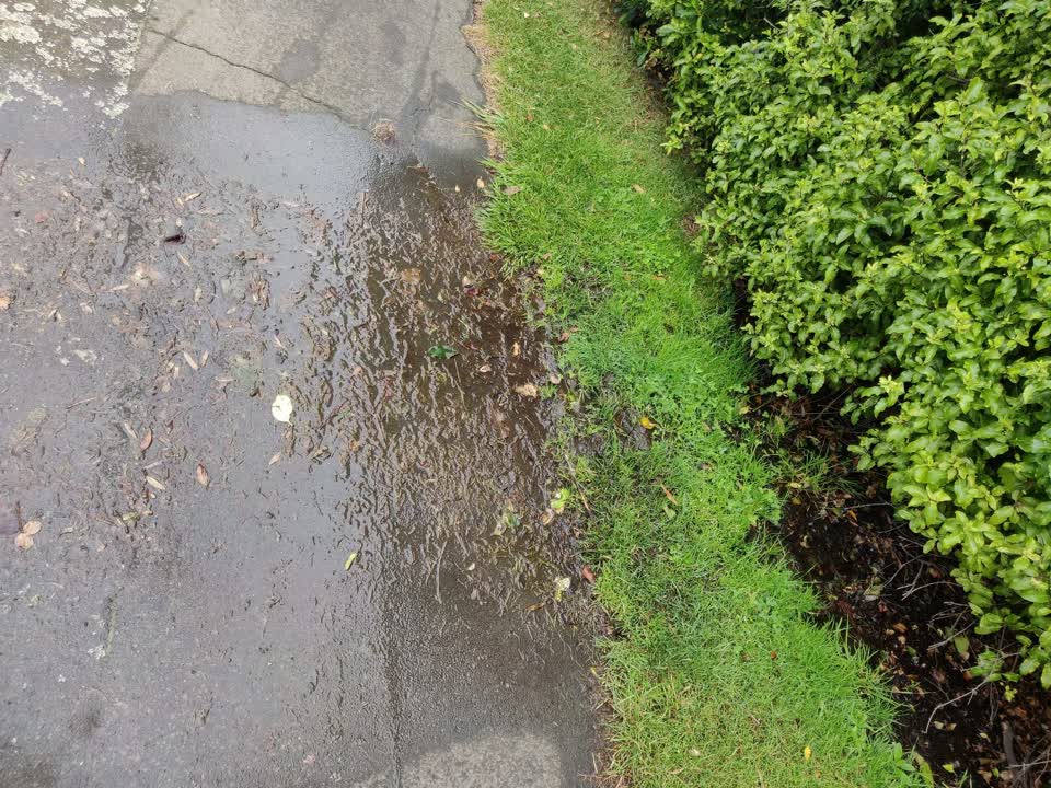 The photograph attached to this water leak report