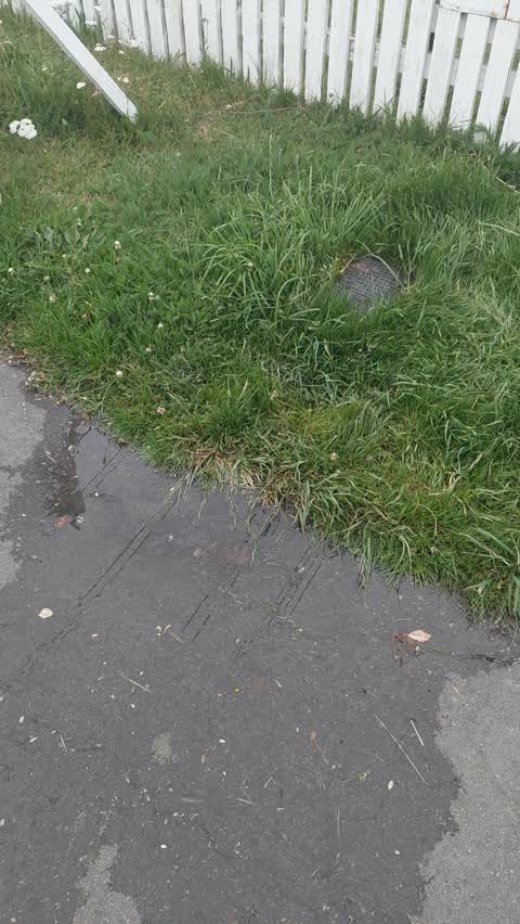 Water Leak, a report photo