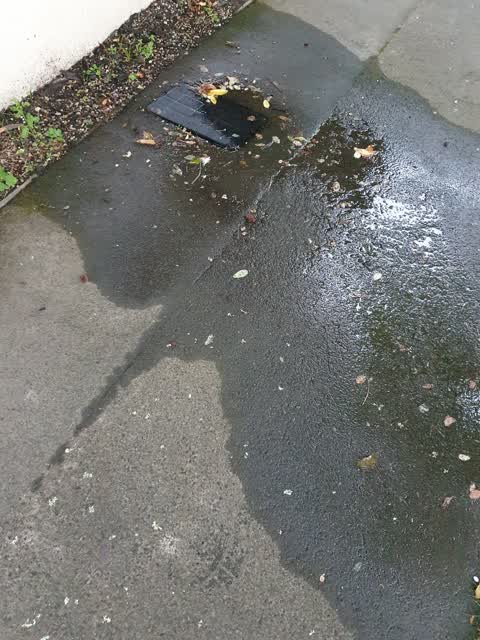 Water Leak, a report photo