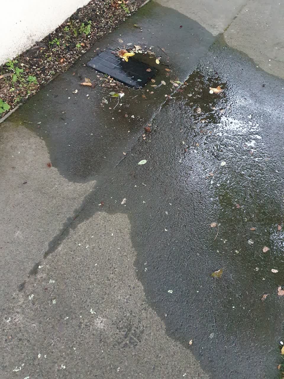 The photograph attached to this water leak report