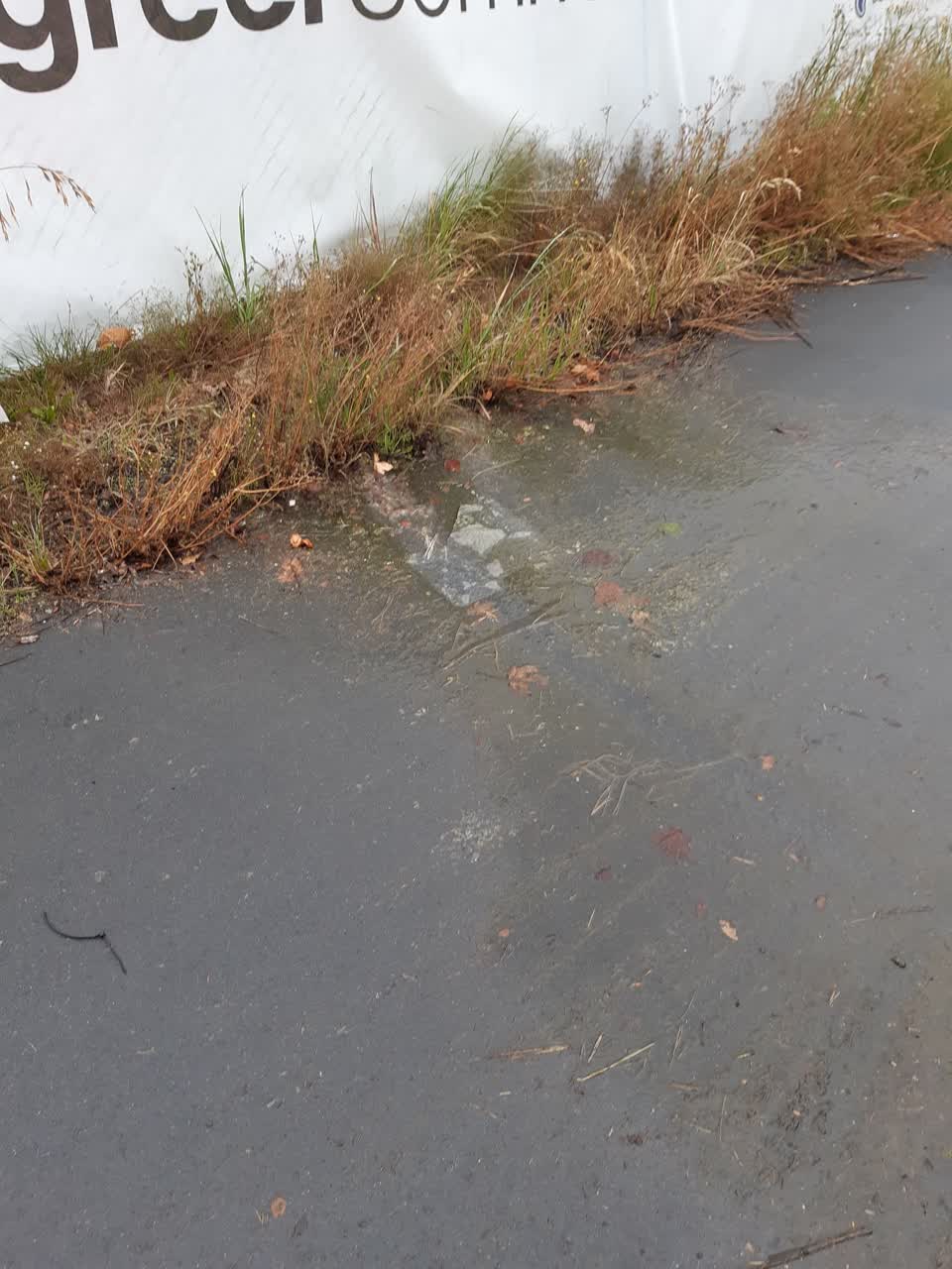 The photograph attached to this water leak report
