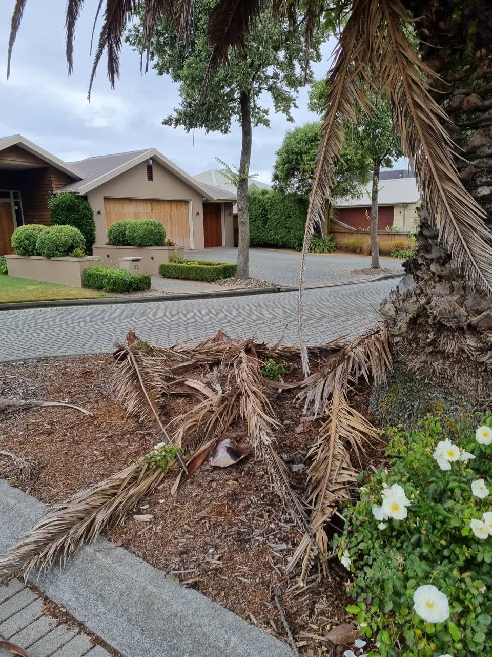The photograph attached to this parks report