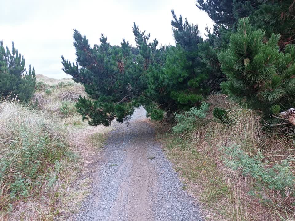 The photograph attached to this parks report