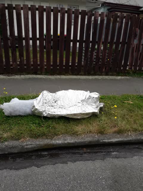 Rubbish/Recycling, a report photo