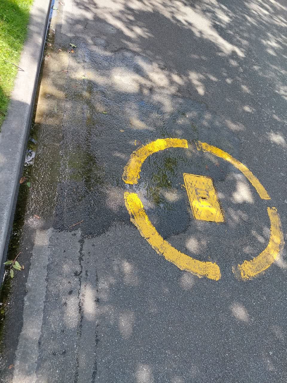 The photograph attached to this water leak report