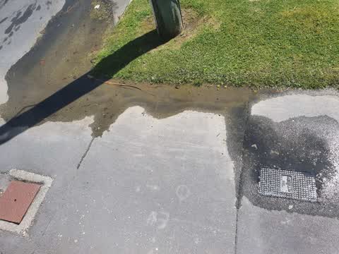 Water Leak, a report photo