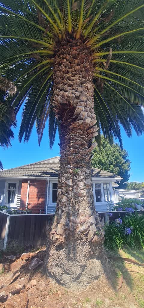 Roading/Streets, a report photo