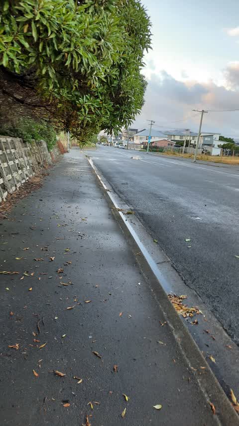 Parks — a report photo