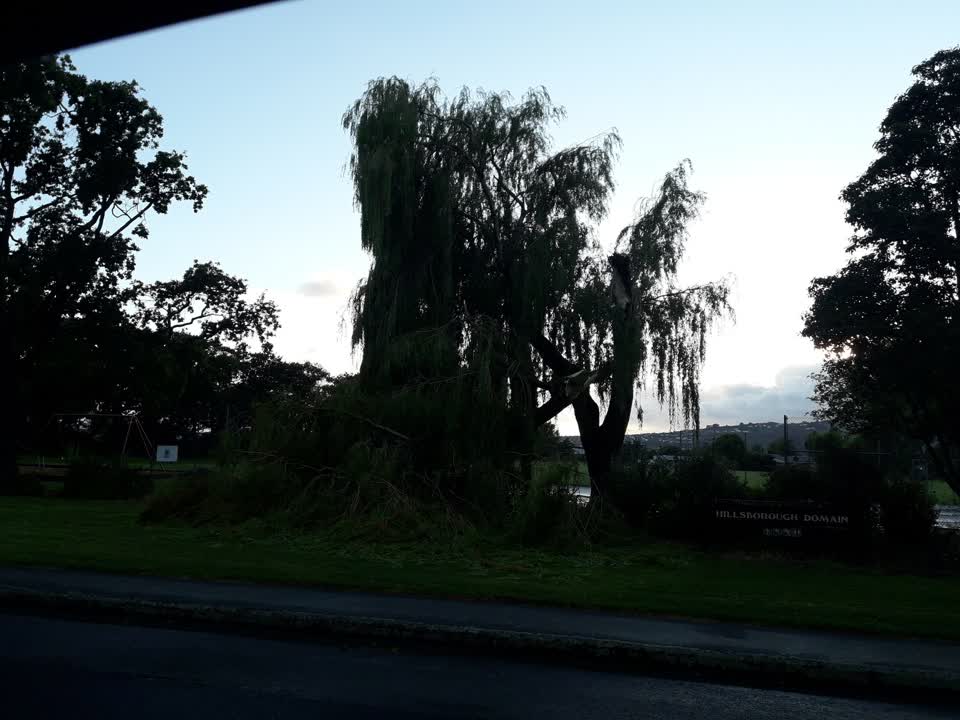 The photograph attached to this parks report