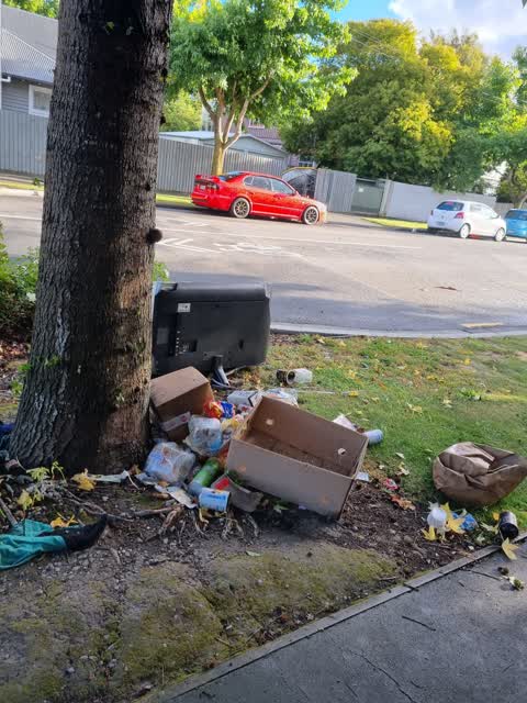 Rubbish/Recycling — a report photo