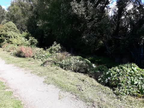 Parks, a report photo