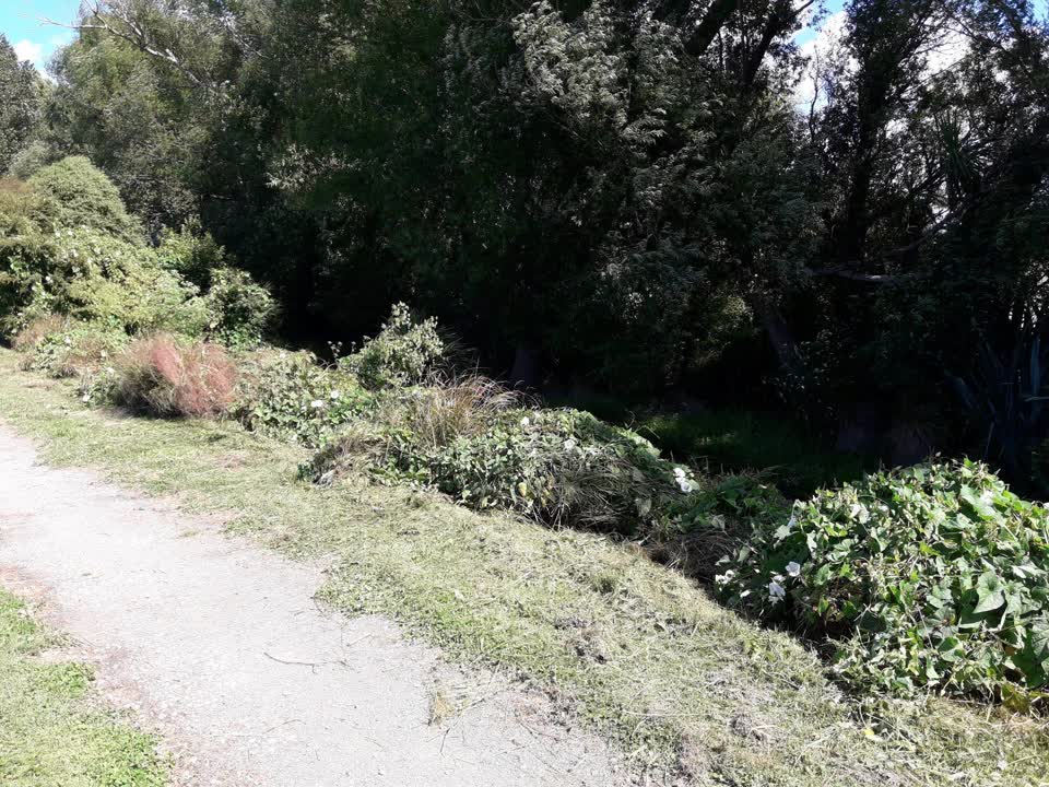 The photograph attached to this parks report