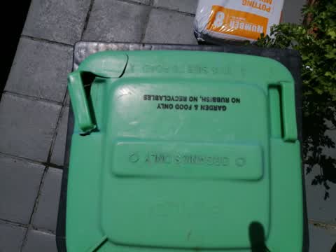 Rubbish/Recycling, a report photo