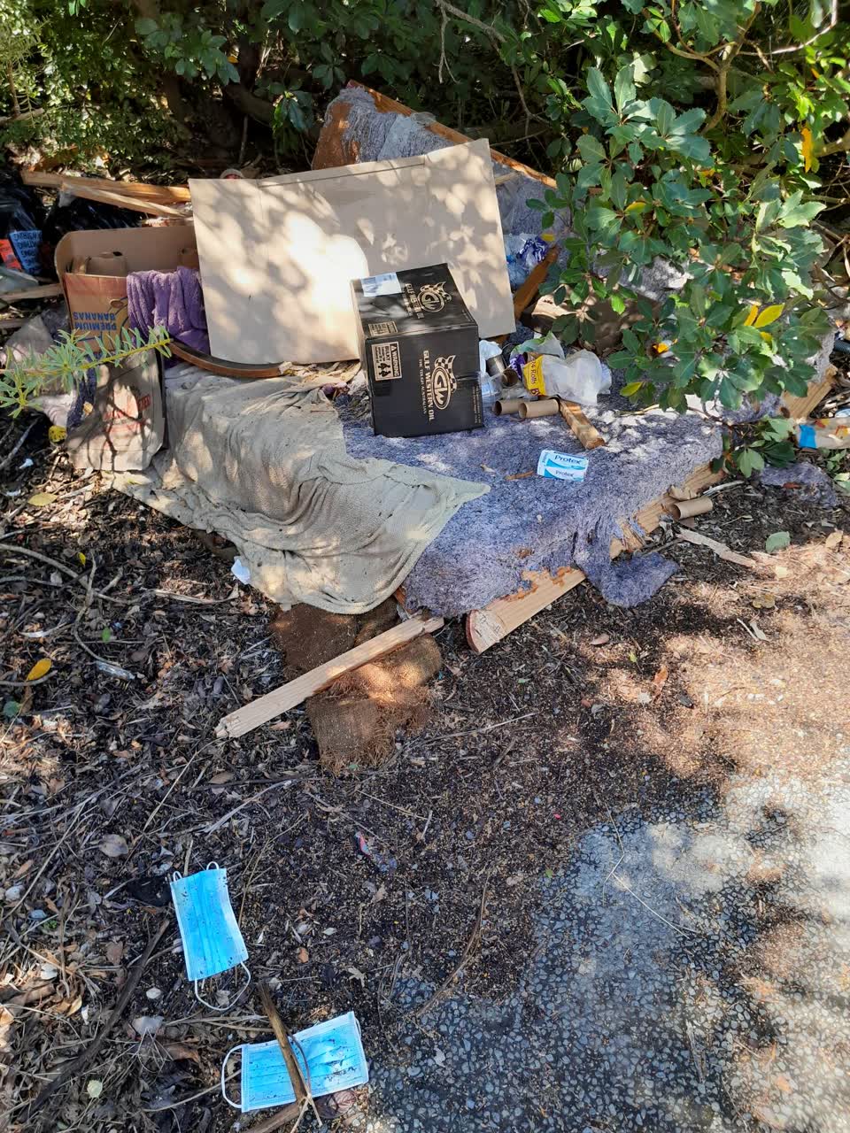 The photograph attached to this parks report