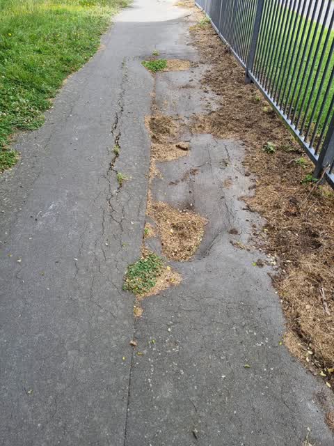 Parks, a report photo