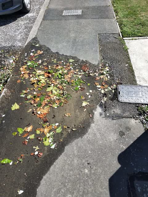 Water Leak, a report photo