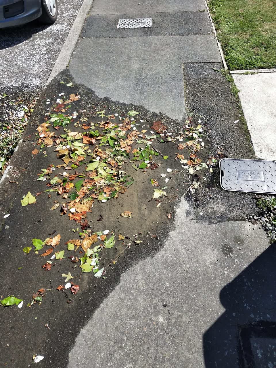 The photograph attached to this water leak report