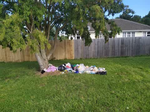 Rubbish/Recycling, a report photo