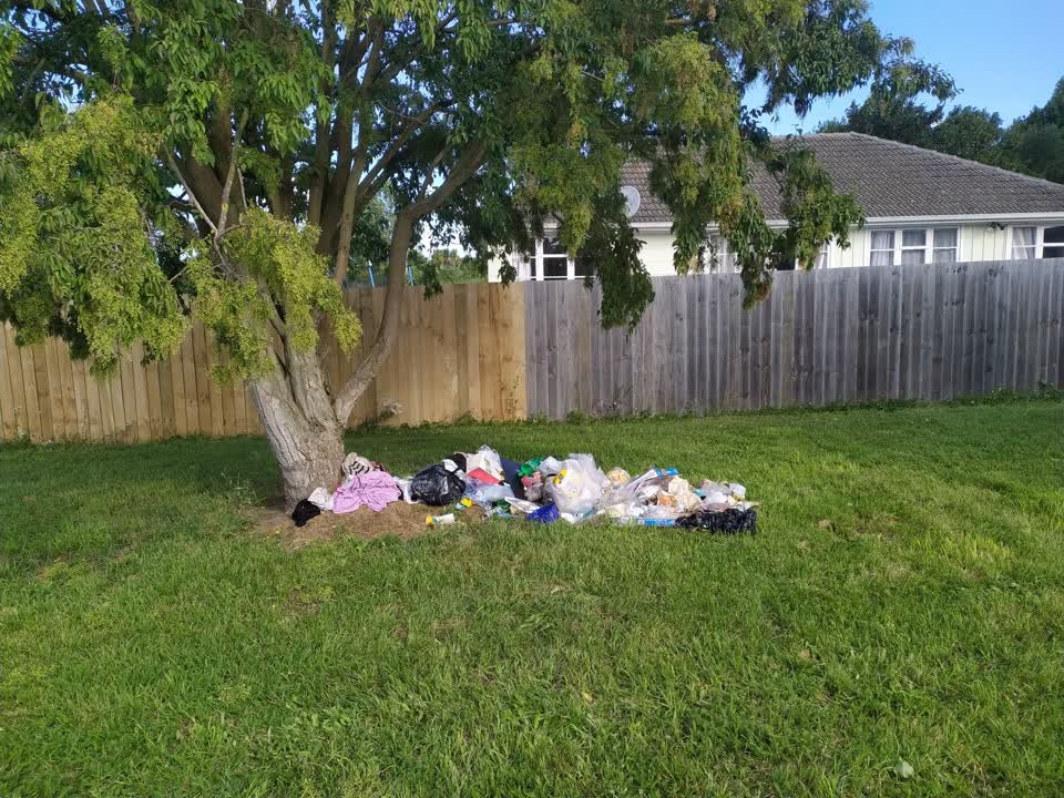 The photograph attached to this rubbish/recycling report