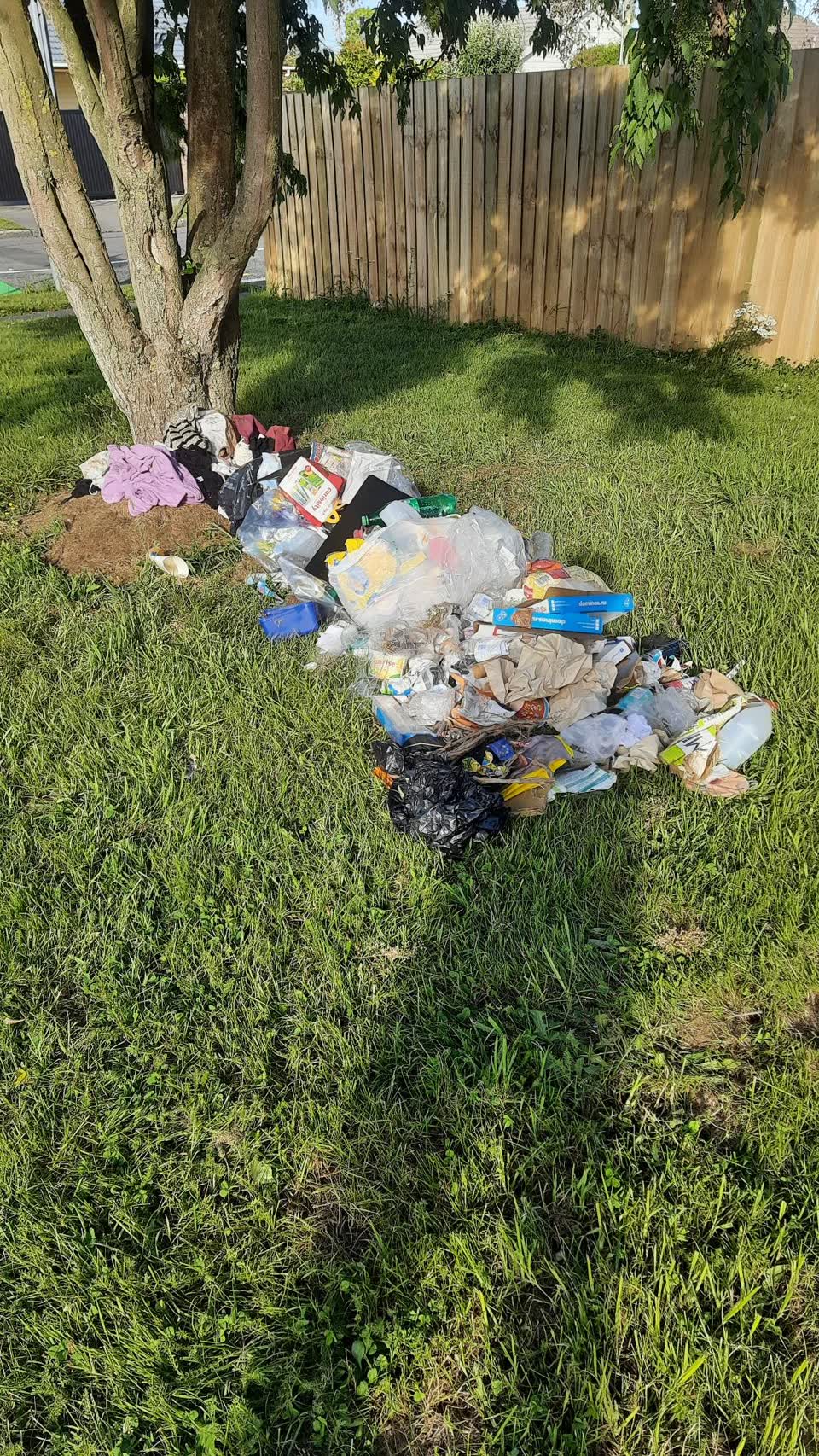 The photograph attached to this rubbish/recycling report