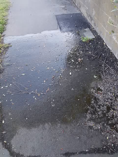 Water Leak, a report photo