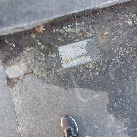 Water Leak, a report photo