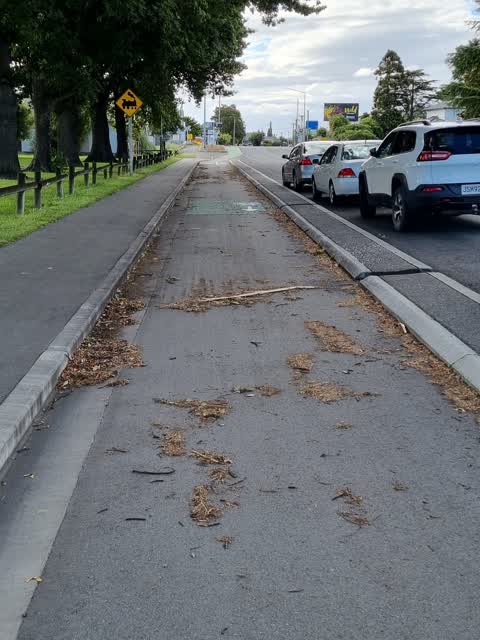 Roading/Streets, a report photo