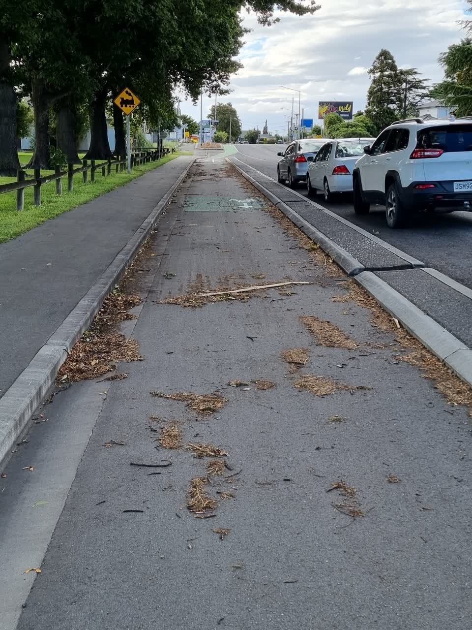 The photograph attached to this roading/streets report