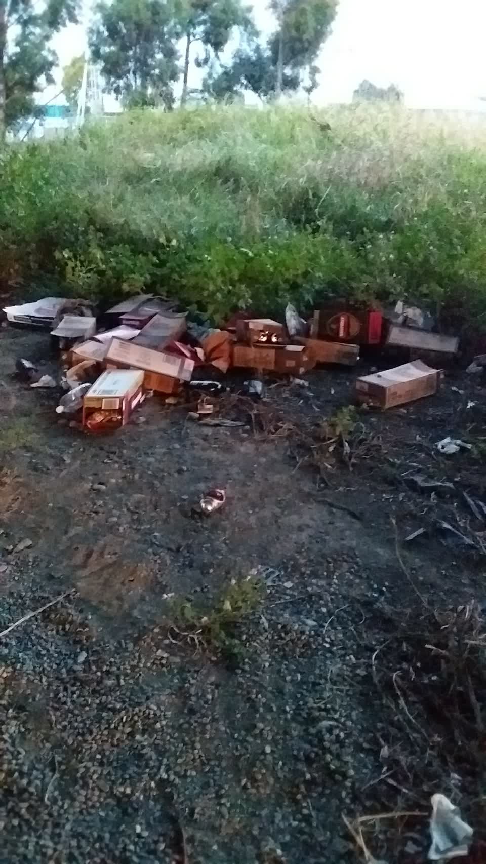 The photograph attached to this rubbish/recycling report