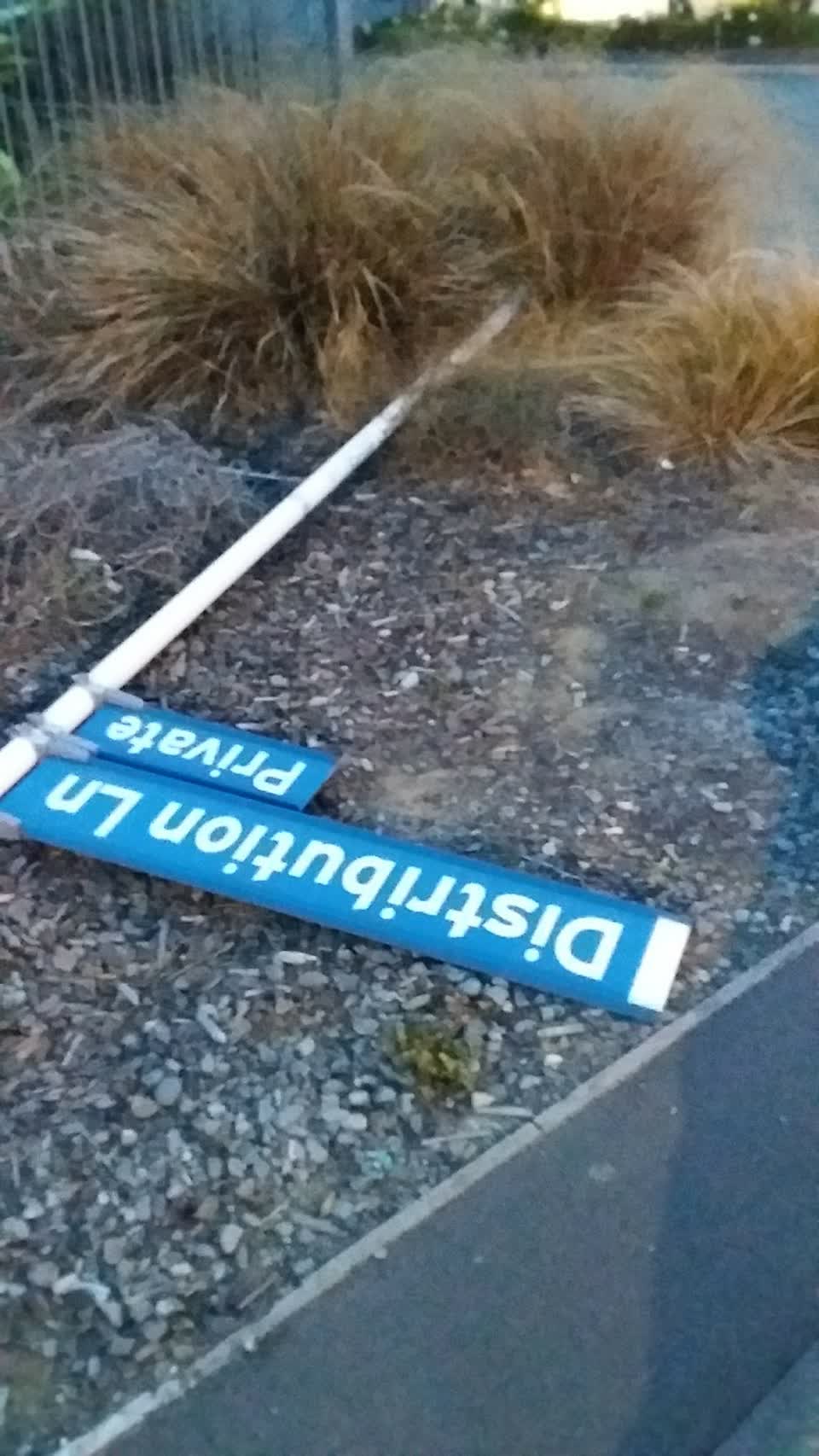 The photograph attached to this roading/streets report