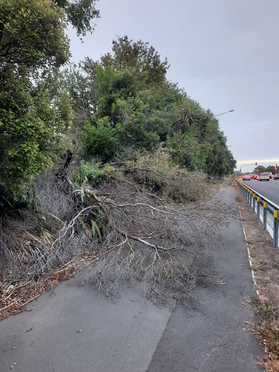 The photograph attached to this roading/streets report
