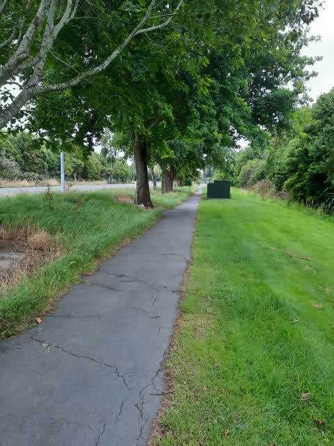 Roading/Streets, a report photo