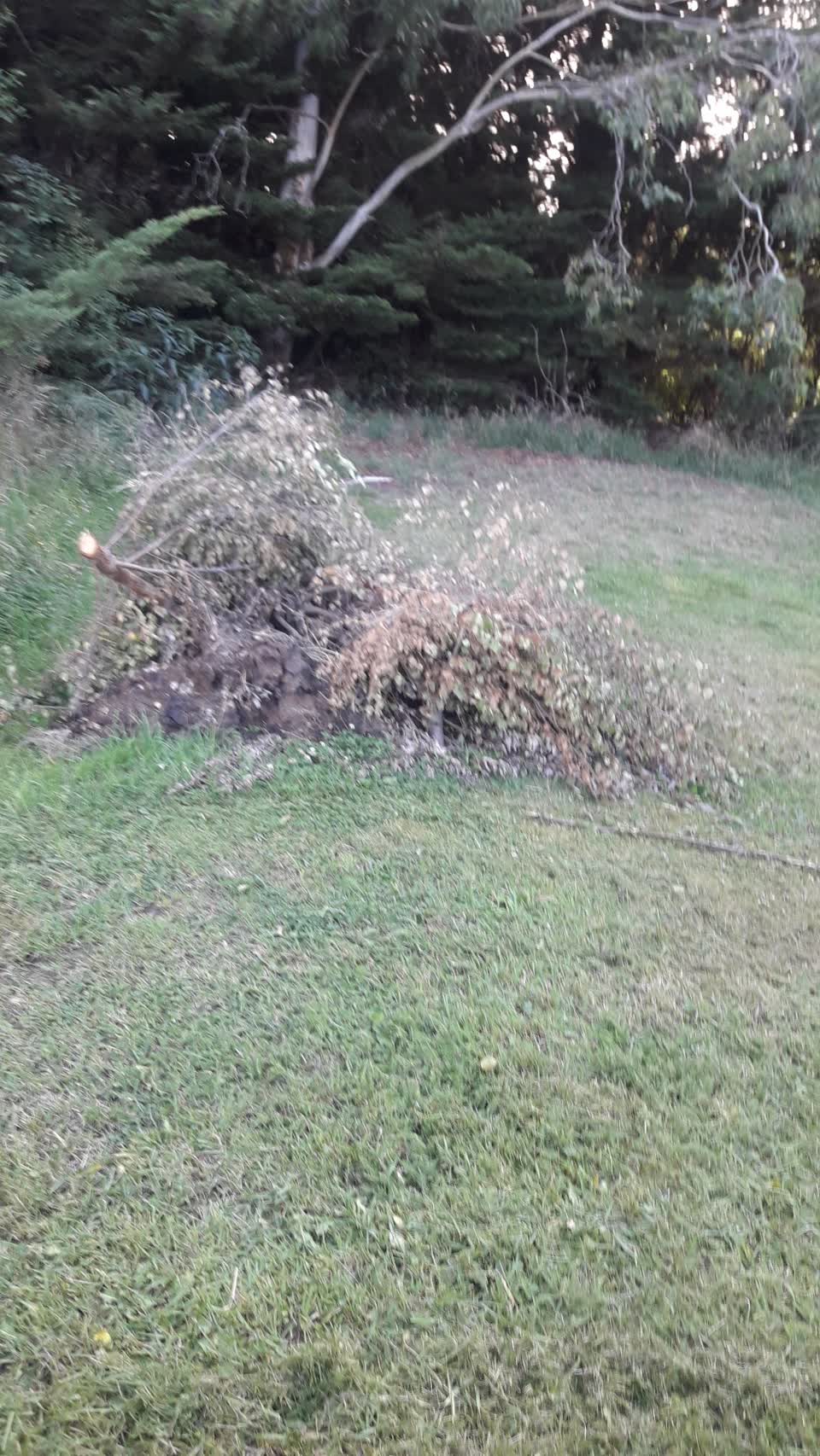 The photograph attached to this parks report