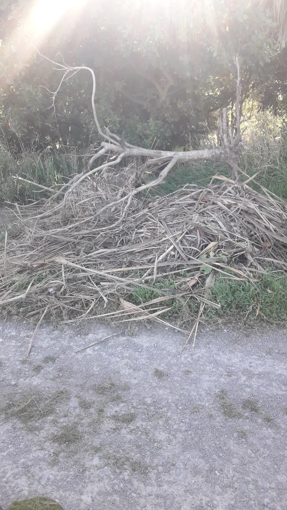 The photograph attached to this parks report