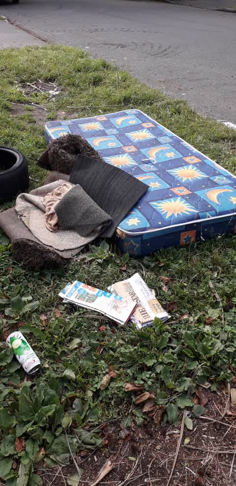 Rubbish/Recycling — a report photo