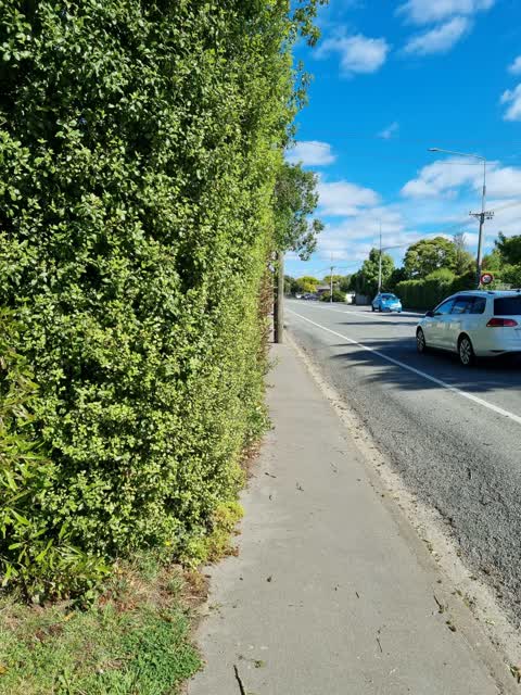 Roading/Streets, a report photo