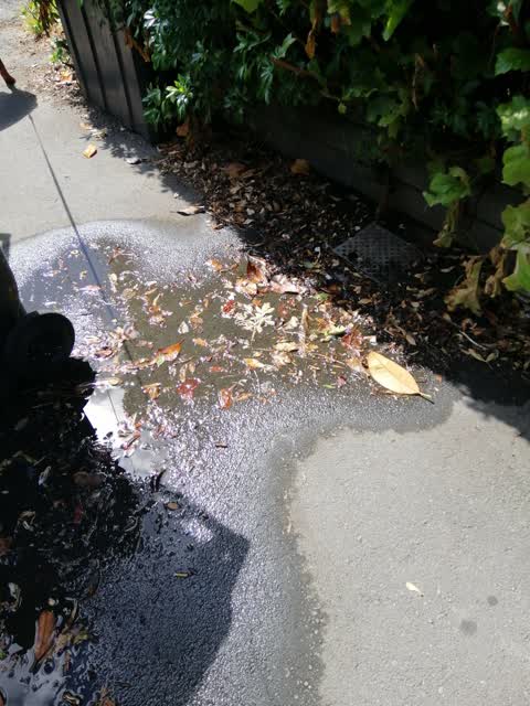 Water Leak, a report photo