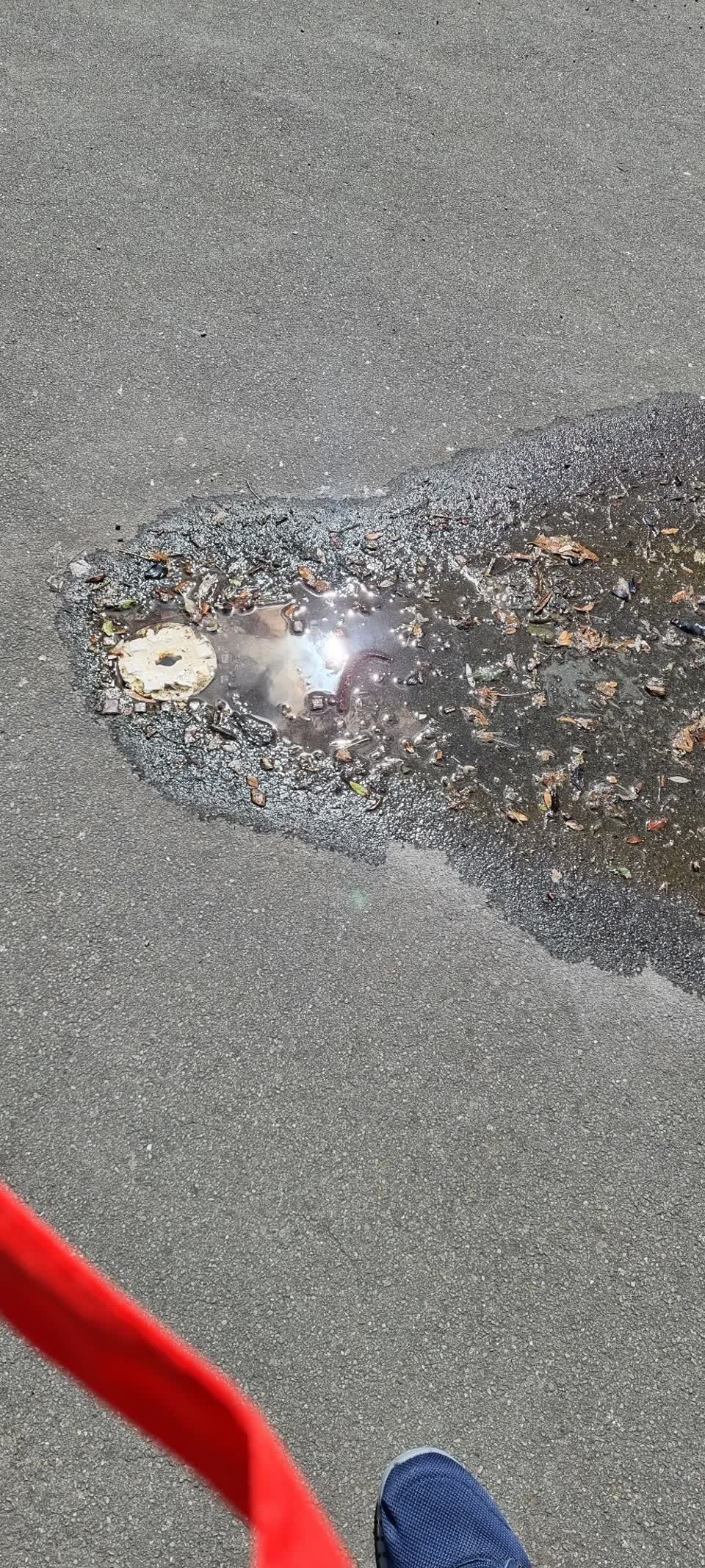 The photograph attached to this water leak report