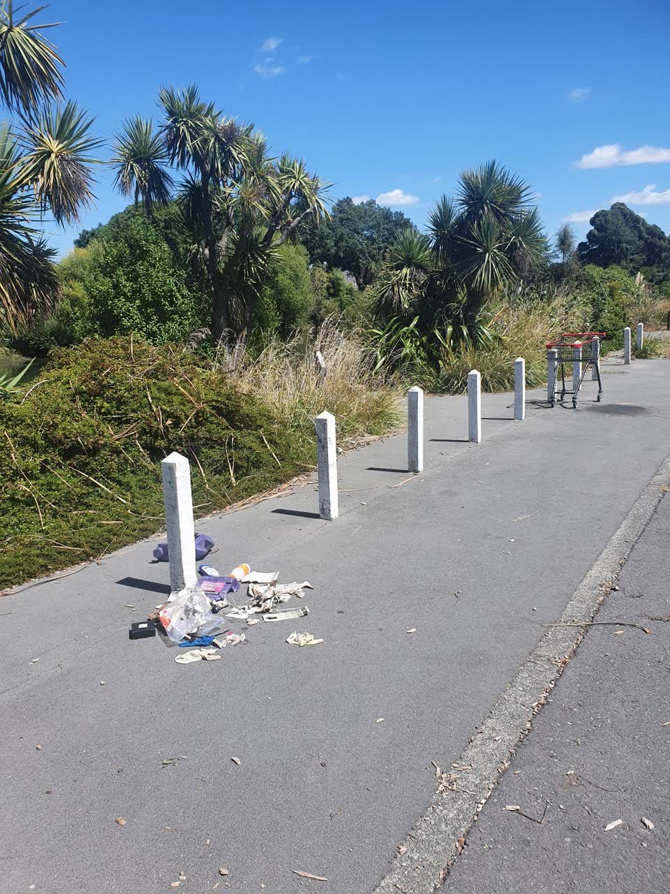 The photograph attached to this rubbish/recycling report