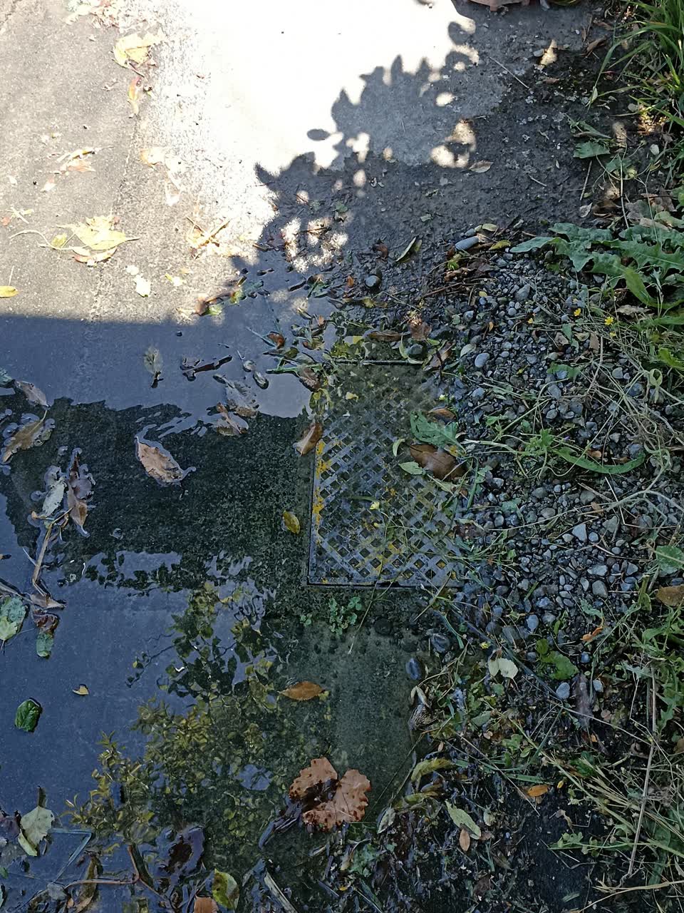 The photograph attached to this water leak report