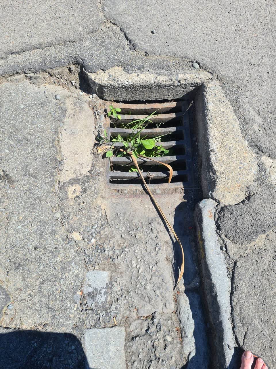 The photograph attached to this roading/streets report