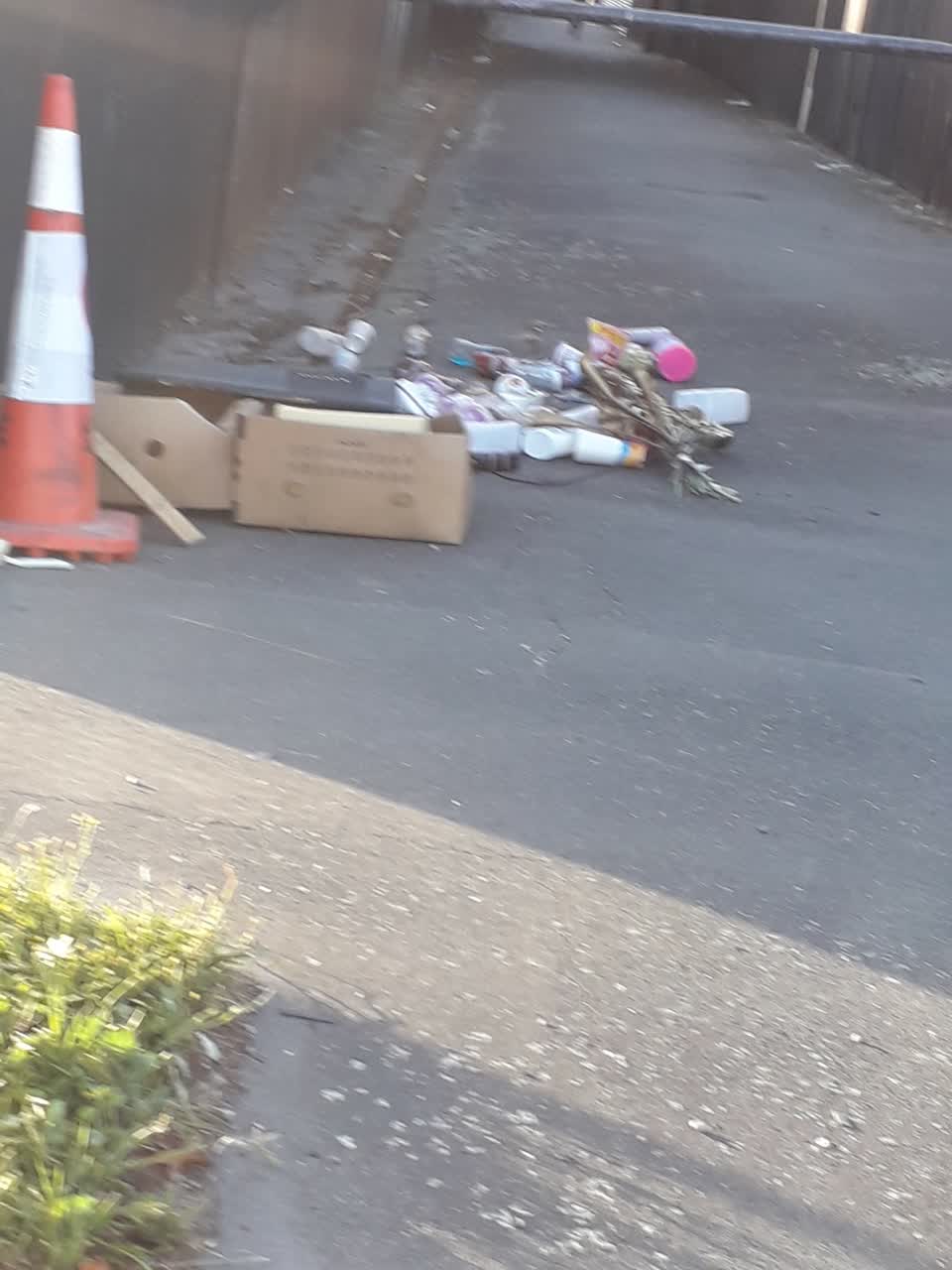 The photograph attached to this rubbish/recycling report
