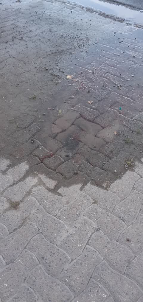 Water Leak, a report photo