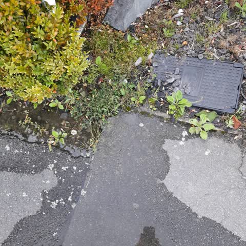 Water Leak, a report photo